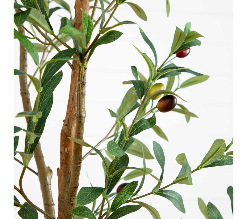 Nearly Natural 6' Artificial Olive Tree with Natural Trunk — View 4