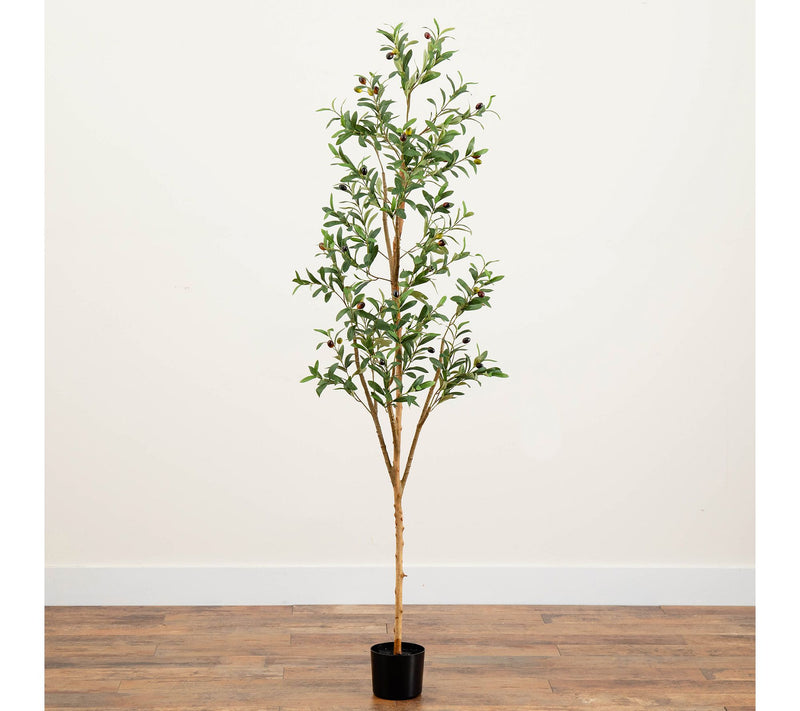 Nearly Natural 6' Artificial Olive Tree with Natural Trunk — View 2