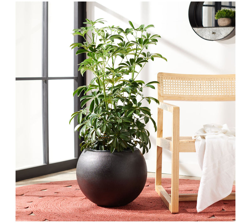 Safavieh Gerand Planter — View 7