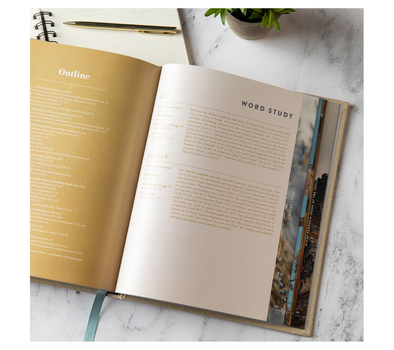 Lifeway CSB New & Old Testament In-Depth Bible Handbook Combo — View 2