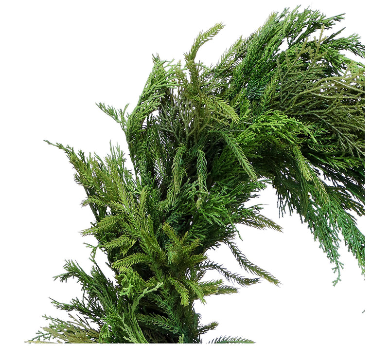 26" Cyprus Norfolk Pine Wreath by Valerie — View 3