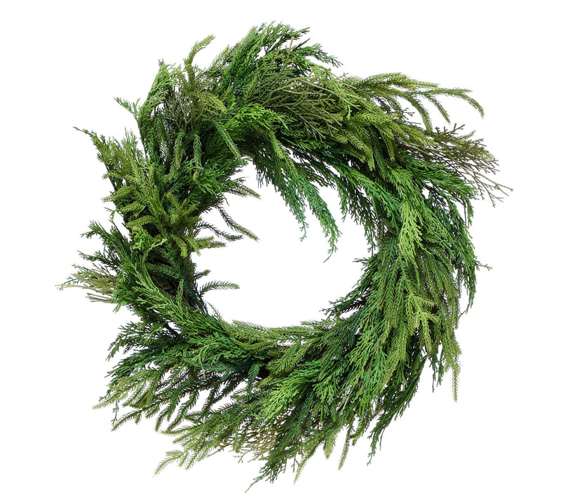 26" Cyprus Norfolk Pine Wreath by Valerie — Main view