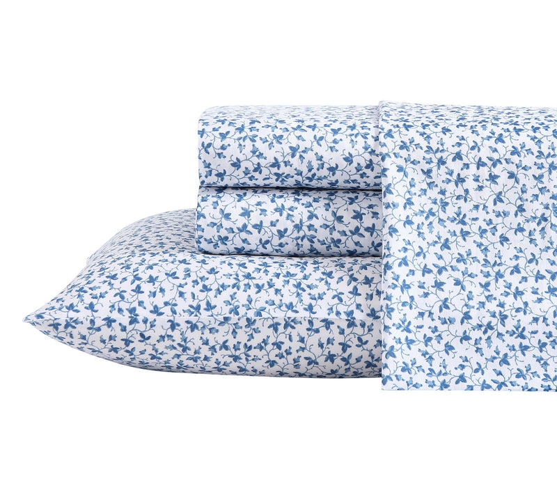 Laura Ashley Lavange Vine Cotton 4-Piece Sheett - Queen — View 7