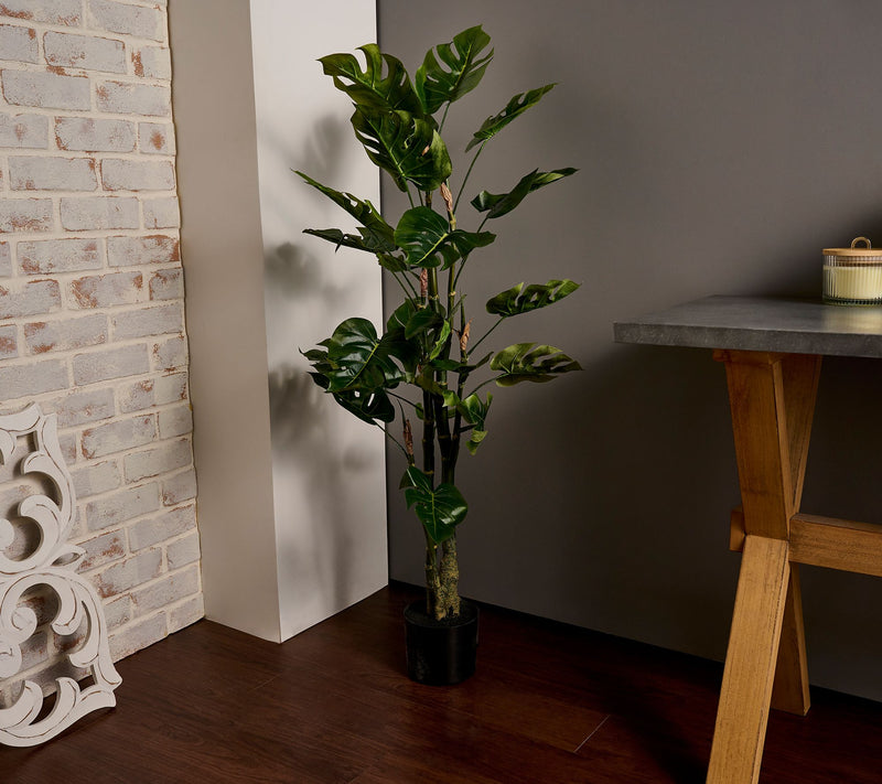 4' Monstera Potted Plant by Valerie — Main view