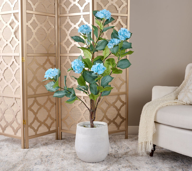 4' Hydrangea Bush in Pot by Valerie — View 3