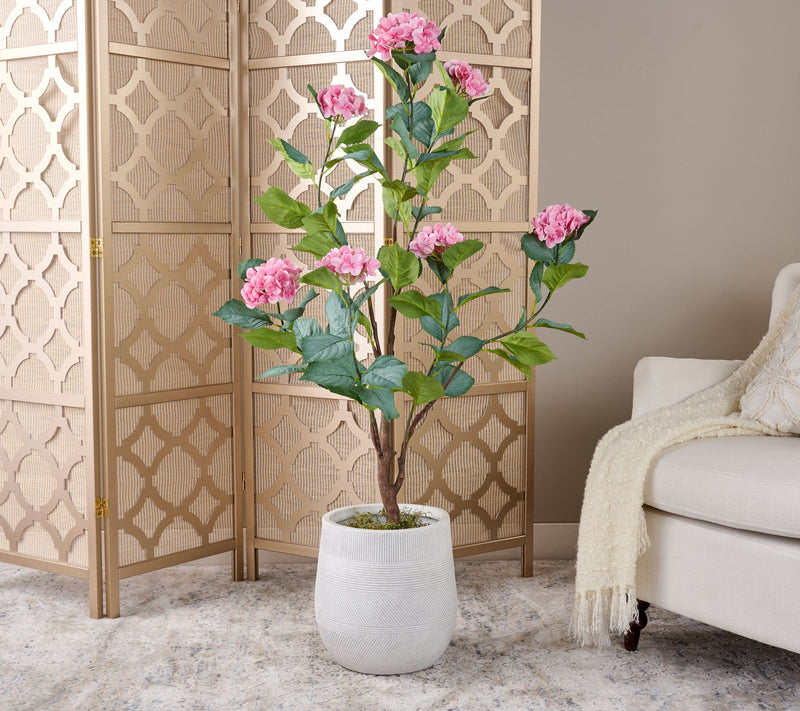 4' Hydrangea Bush in Pot by Valerie — View 5