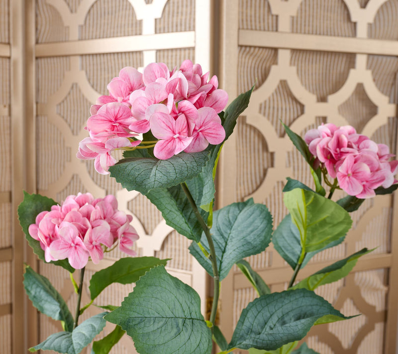 4' Hydrangea Bush in Pot by Valerie — View 9