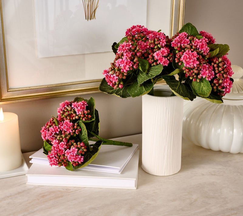 Set of 3 Kalanchoe Plants By Valerie — View 5