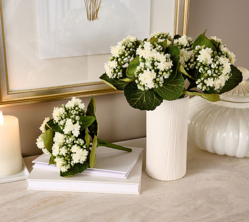 Set of 3 Kalanchoe Plants By Valerie — View 11