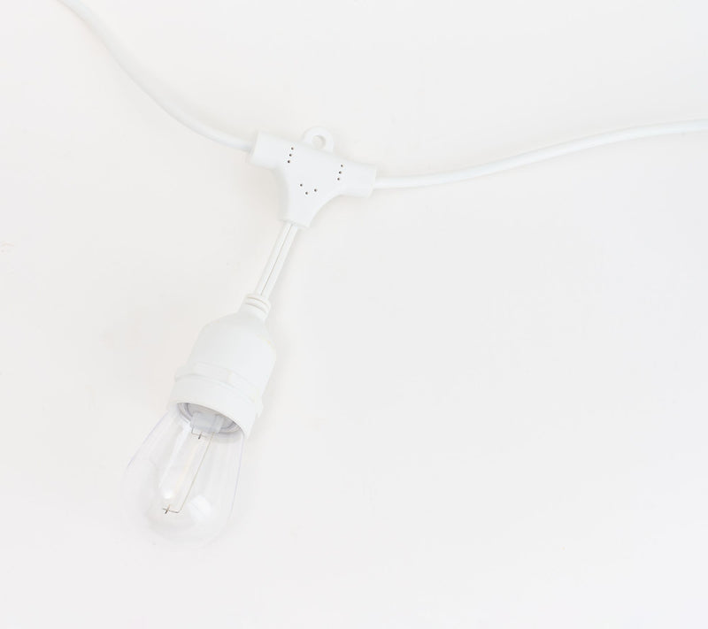 20' Color Flip Bistro Lights by Kim Gravel — View 10
