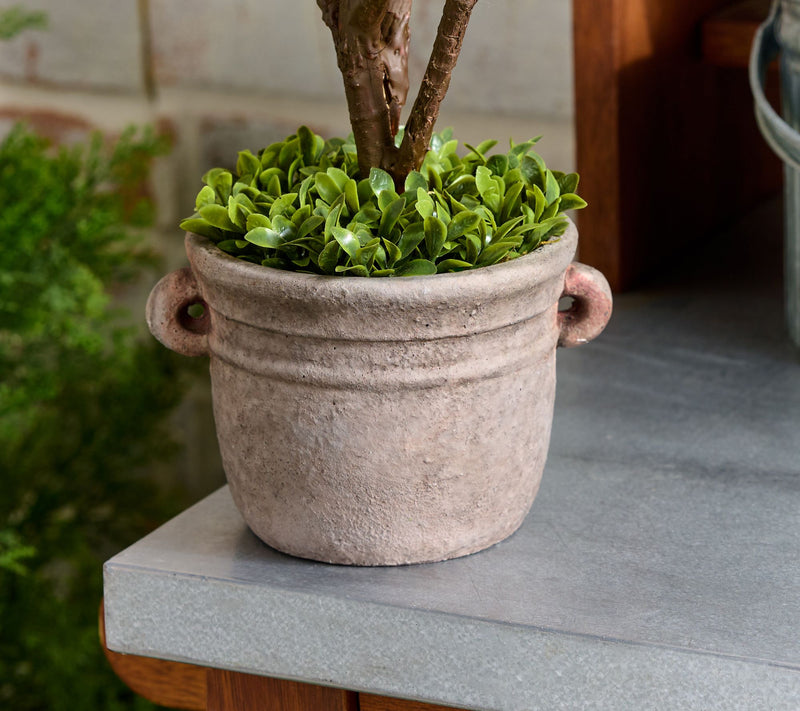 Cozy Cottage by Liz Marie Double Ball Topiary with Pot — View 2