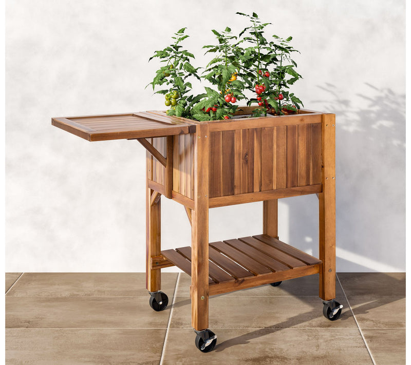 Seville Classics Acacia Wood Raised Garden Bed Planter — Main view