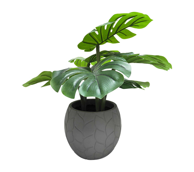Temp-tations Medium Faux Monstera in Cement Planter Pot — Main view