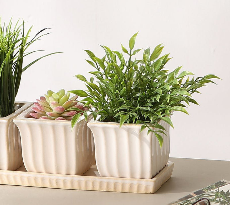 Zingz & Thingz Set of 3 Small Ceramic Herb Planters — View 2
