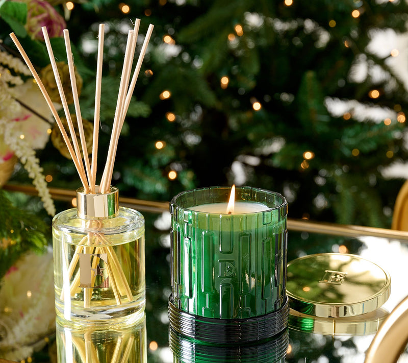 Elton John x Slatkin + Co. Woodside 8oz Candle & Reed Gift Set — View 5