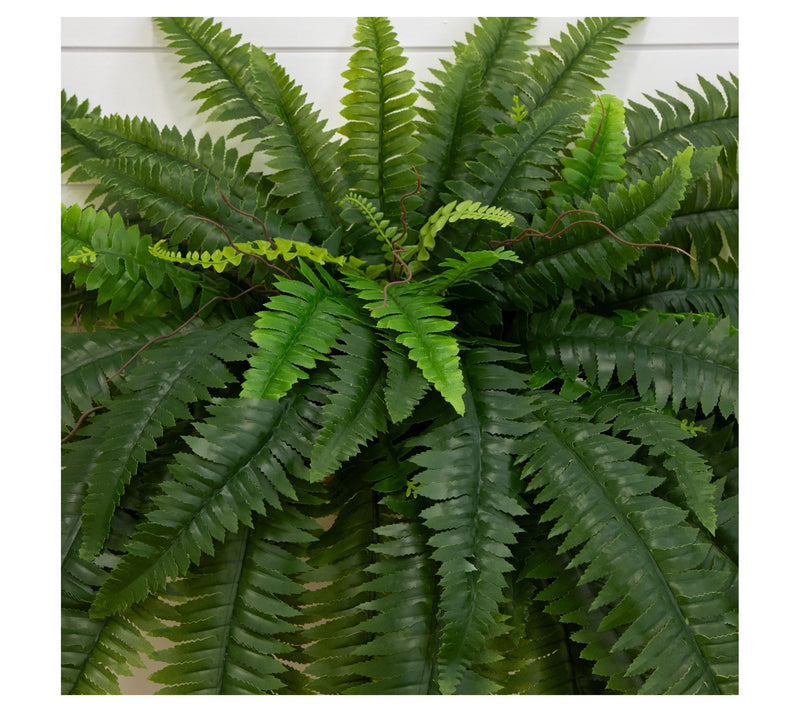 Nearly Natural Set of (2) 48" UV Resistant Boston Fern — View 3