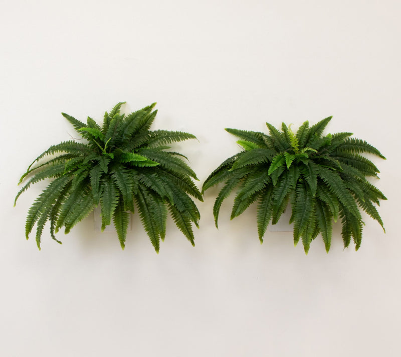 Nearly Natural Set of (2) 48" UV Resistant Boston Fern — View 7
