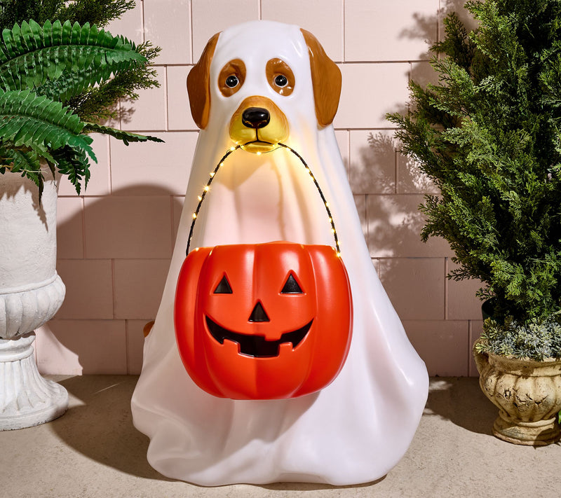 Bethlehem Lights 28" Illuminated Halloween Dog with Basket — Main view