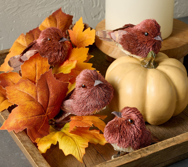 Set of 8 Harvest Sisal Bird Clips by Valerie — Main view