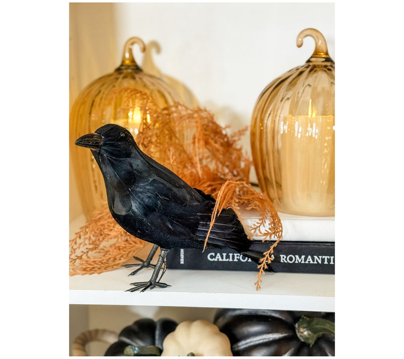 Simply Stunning Set of 2 Glass Pumpkin Cloches by Janine Graff — View 4