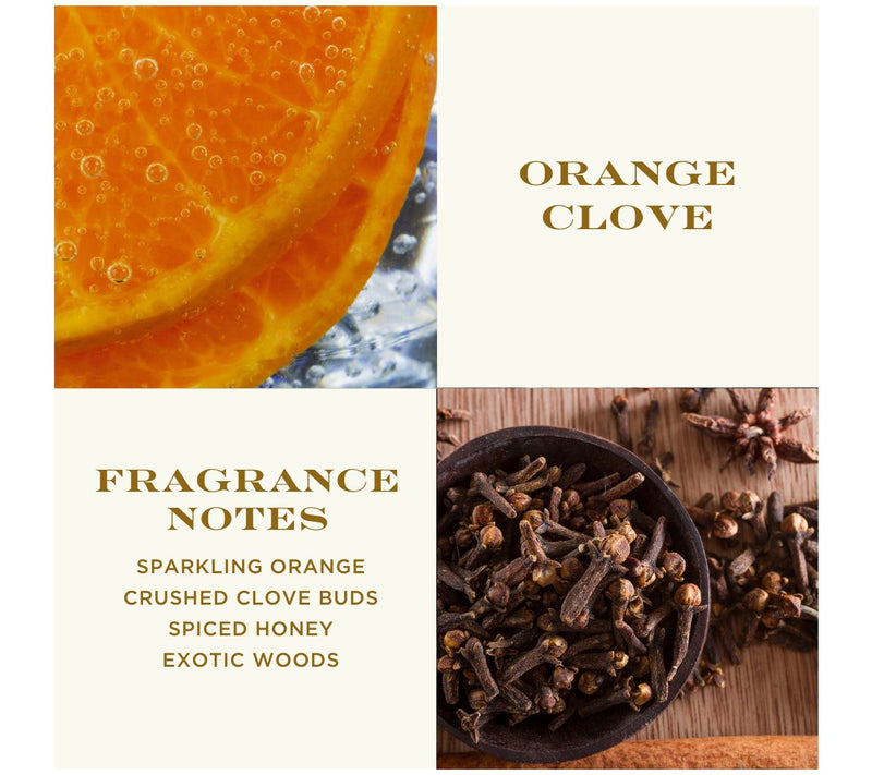 HomeWorx by Slatkin + Co. Cozy Winter S/2 22oz Hand Soaps & 18oz Candle — View 7