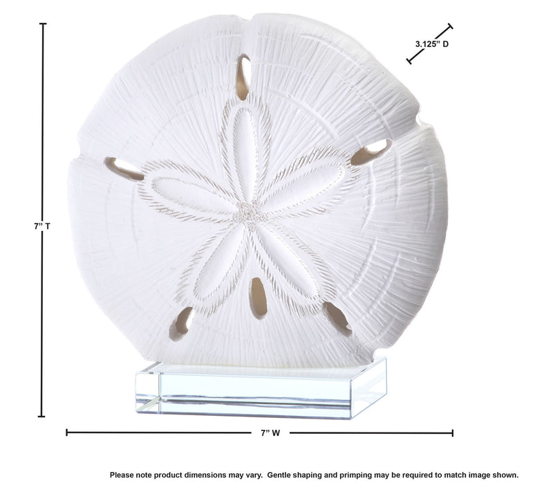 7" Sand Dollar On Glass by Valerie — View 3