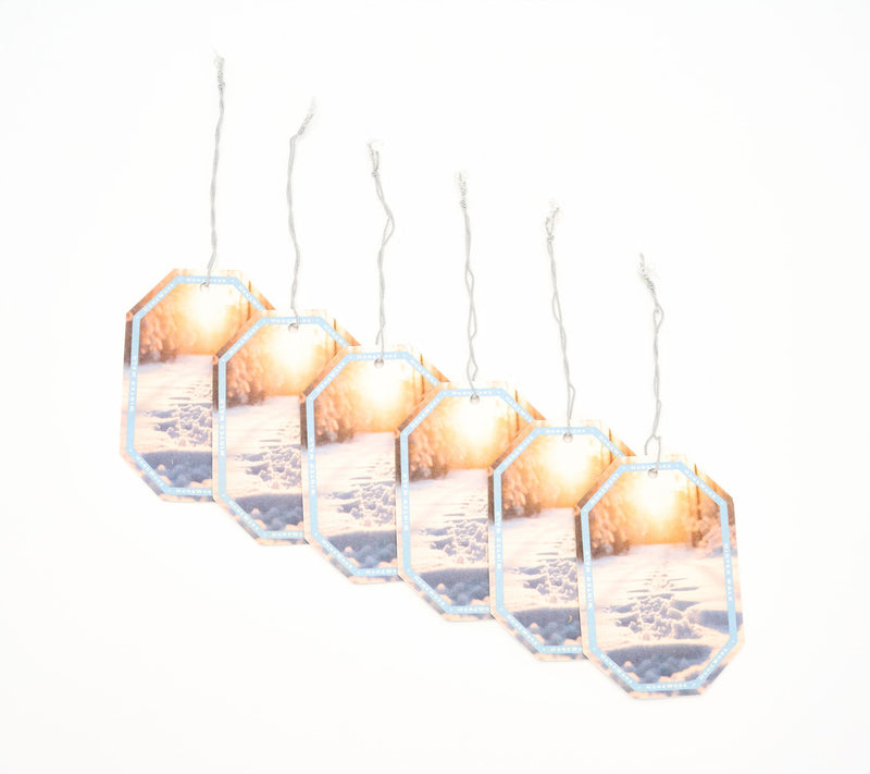 HomeWorx by Slatkin + Co. S/6 Hanging Auto Air Fresheners — Main view