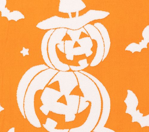 Berkshire Halloween Icon Jacquard Plush 60x70 Throw — View 6