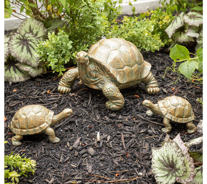 Evergreen Tortoise Family Resin Garden Accent