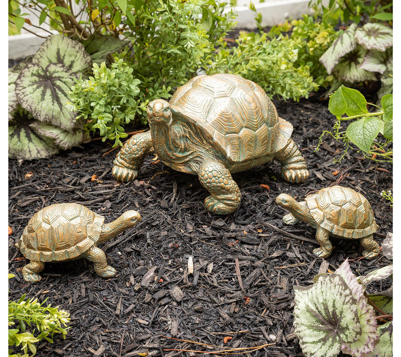 Evergreen Tortoise Family Resin Garden Accent — Main view