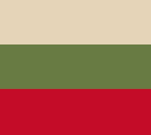 Evergreen 42"x24" Christmas Plaid Indoor/Outdoor Hooked Rug — View 2