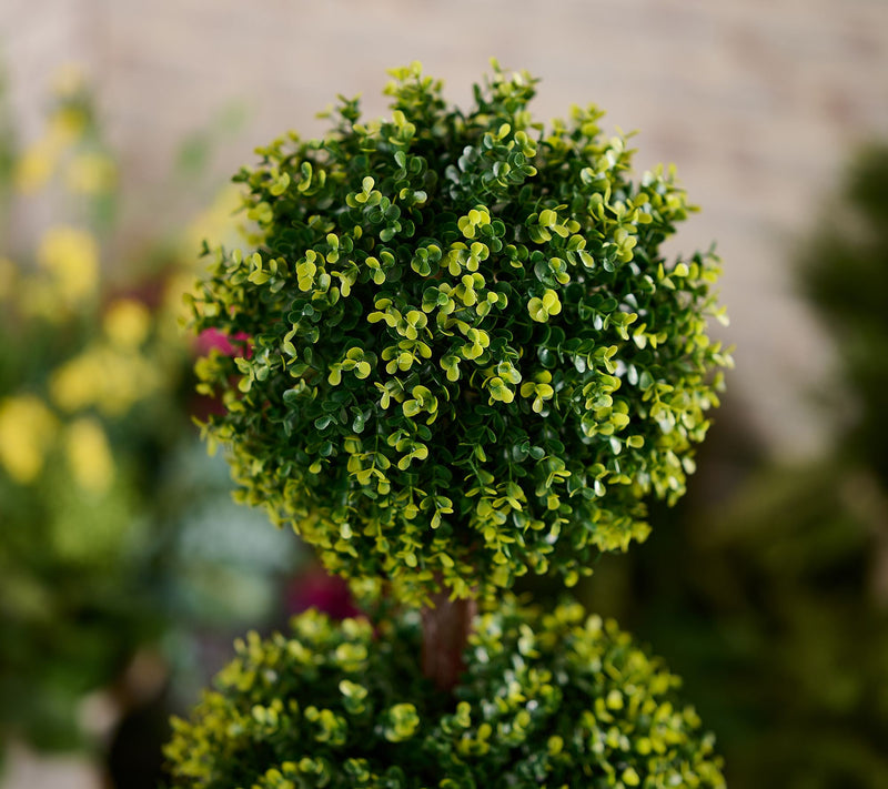 "As Is" Wicker Park 48" 3-Sphere Long Boxwood Topiary Tree with Pot — View 2