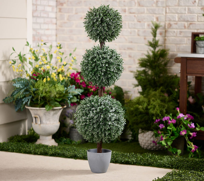 "As Is" Wicker Park 48" 3-Sphere Long Boxwood Topiary Tree with Pot — View 5