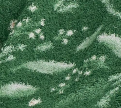 Berkshire 60x70 Printed Retro Plush Winter Greenery Throw — View 4
