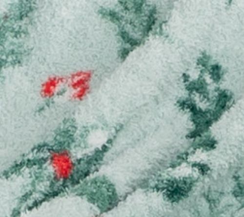 Berkshire 60x70 Printed Retro Plush Winter Greenery Throw — View 5