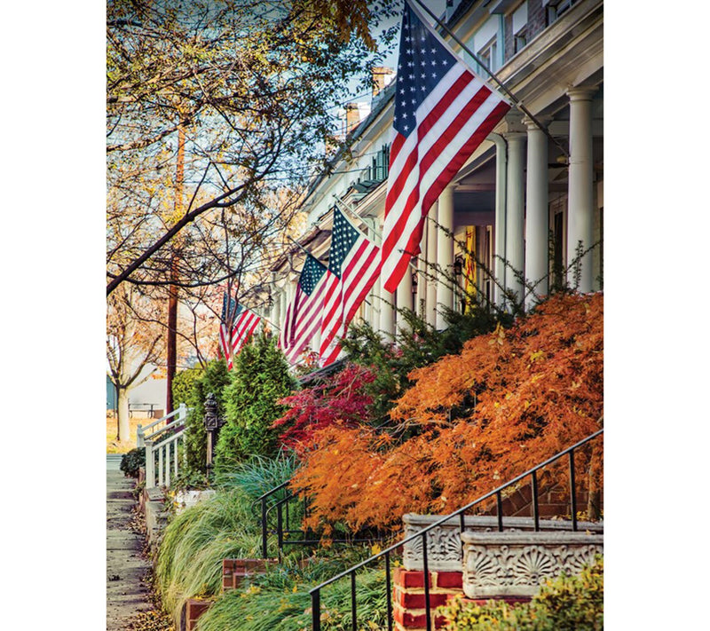 "As Is" Annin Flagmakers 4' x 6' Made in USA Premium American Flag — View 5
