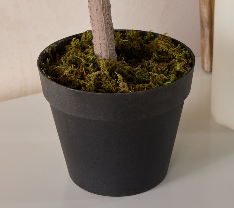 Wicker Park 27" Indoor/Outdoor Faux Rose Bush with Pot — View 8