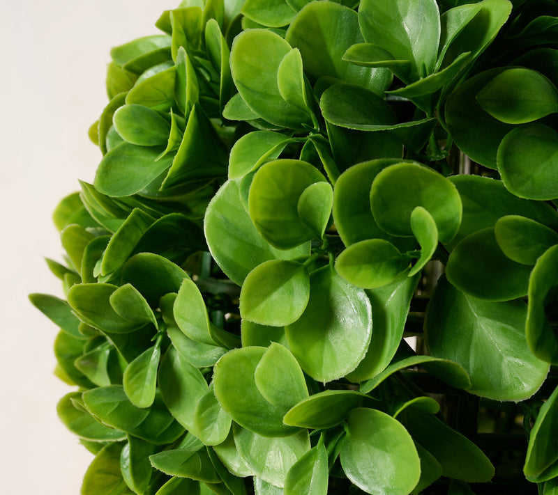 Wicker Park 3' Indoor/Outdoor Jade Topiary Tree — View 2