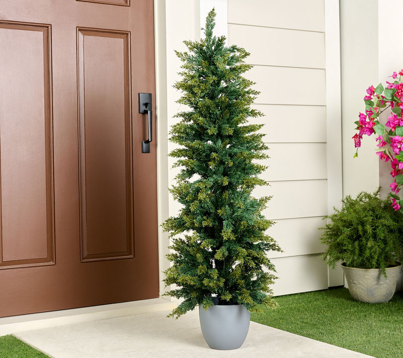 Wicker Park 4' Indoor/Outdoor Juniper Tree with Pot — Main view