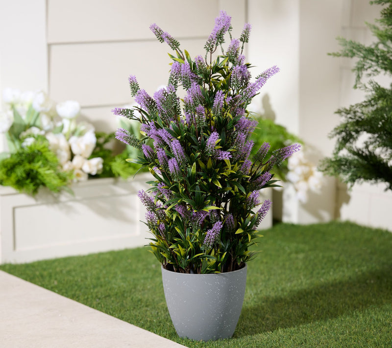 Wicker Park 28" Indoor/Outdoor Potted Lavender — View 3