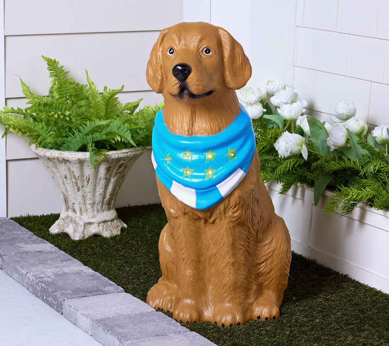 Bethlehem Lights 27" Illuminated Indoor/Outdoor Summer Pup — Main view
