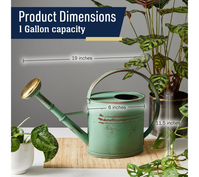 Kings County 1-Gallon Plant Watering Can with Removable Spout — View 5