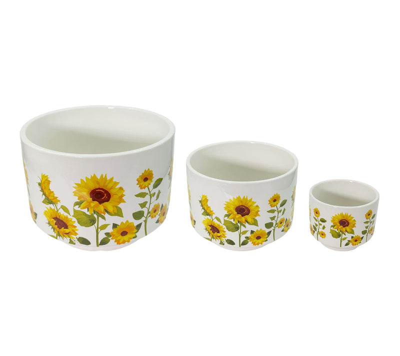 Temp-tations Seasonal Set of 3 Footed Herb Planters — View 3