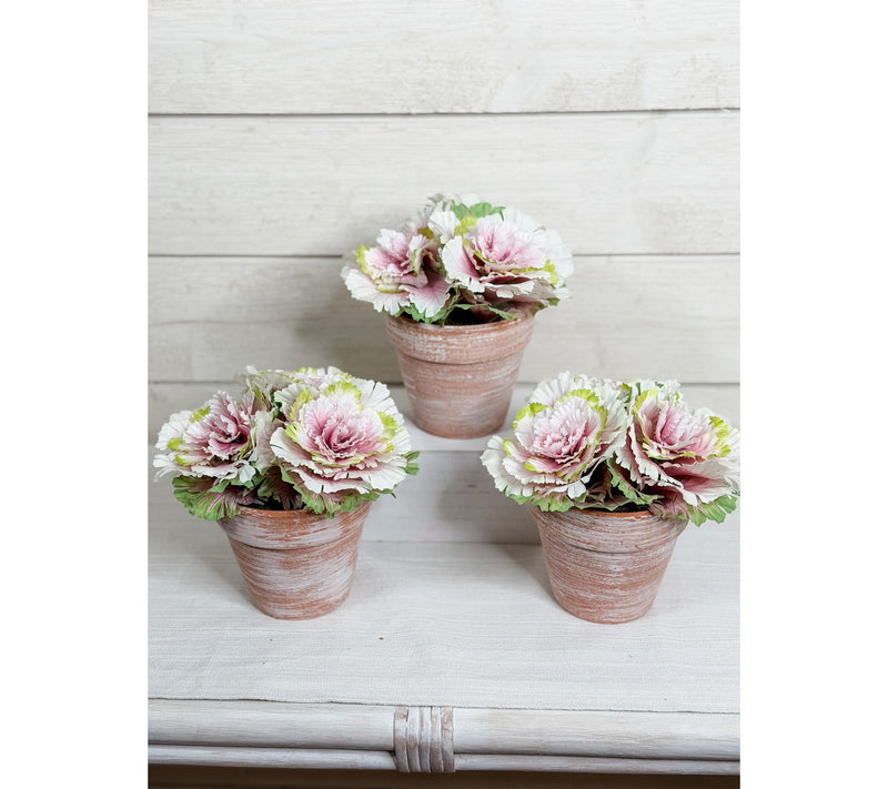Simply Stunning Set of 3 Potted Cabbages by Janine Graff — View 9