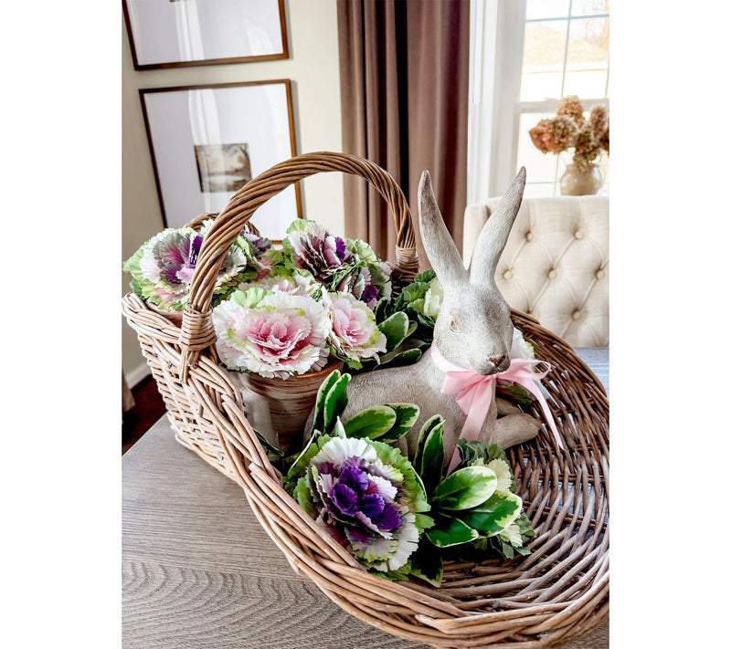 Simply Stunning Set of 3 Cabbage Stems by Janine Graff — View 4