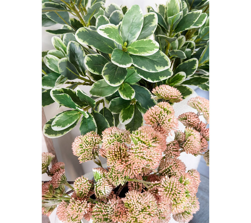 Simply Stunning Set of 5 Pink Sedum by Janine Graff — View 7