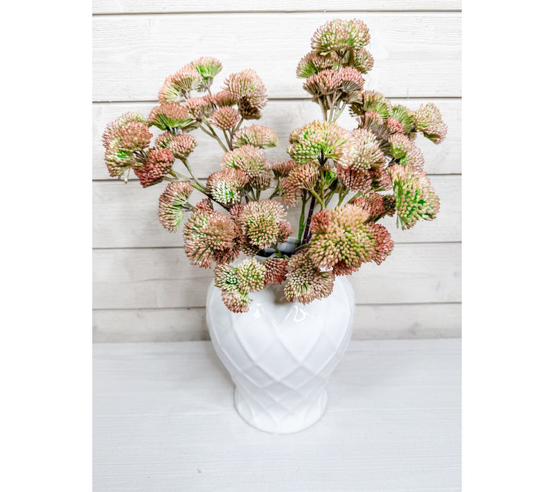Simply Stunning Set of 5 Pink Sedum by Janine Graff — Main view