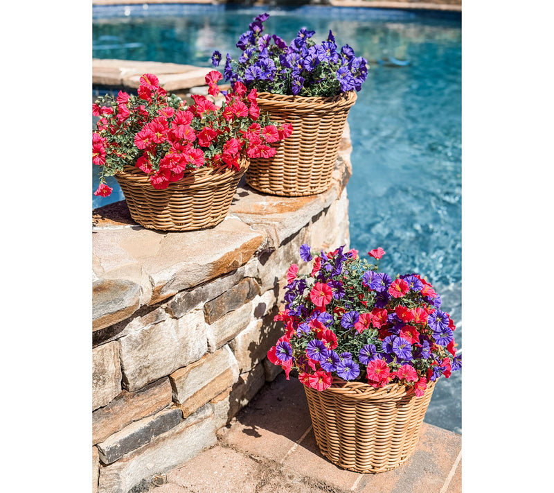 Simply Stunning 6" French Garden Bowl Planter by Janine Graff — View 6