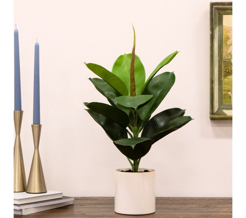 Nearly Natural 20" Artificial Fiddle Plant — View 6