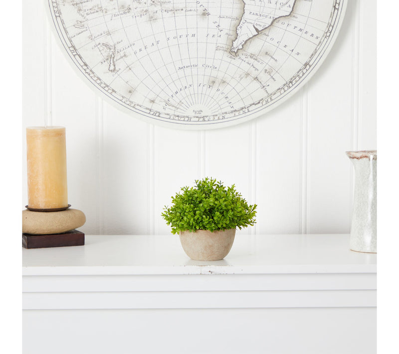 Nearly Natural 5" Boxwood Plant in Decorative Planter — View 3